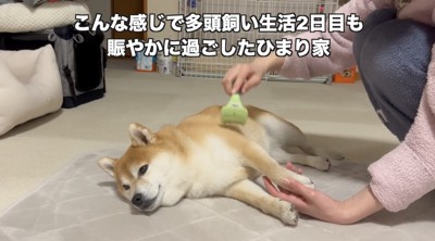 ヤキモチ、可愛すぎます…!