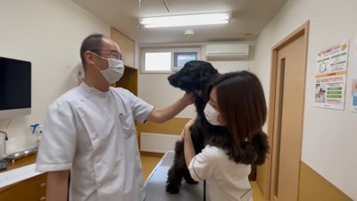 「何やるつもりなの…!?」