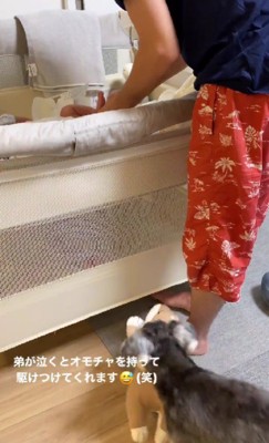 「これこれ!!」