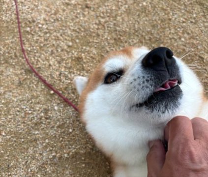 甘えん坊