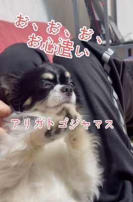 お礼を言うちーちゃん