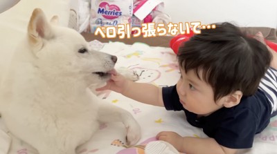 坊や、舌をロックオン