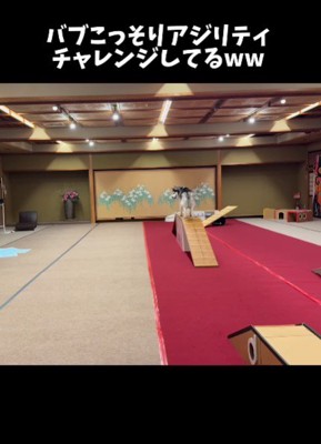 こっそりチャレンジしてる…!