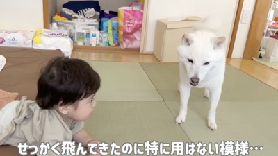 「よんだだけ…?」