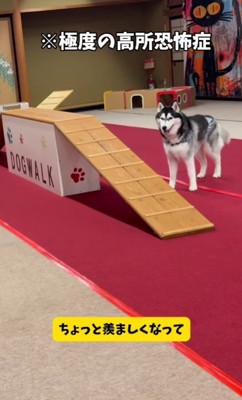 兄の姿に感銘を受けた?