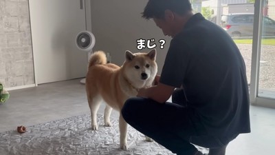 「軽トラ買うってコト?」