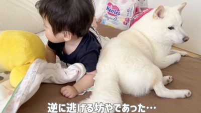 寂しげな表情…