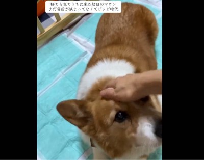 お迎え