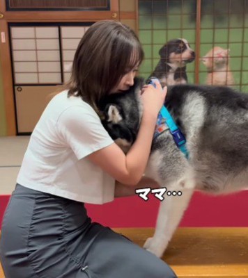 「ママ…」