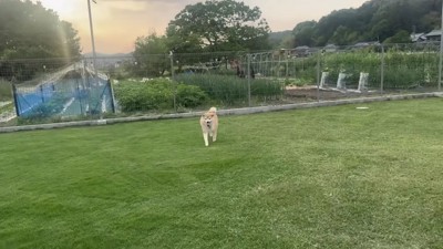 なんとか許してくれました!