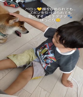 犬をなでる男の子2