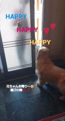 扉が開く