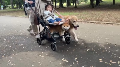 帰りはベビーカーで…♪
