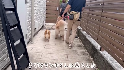 みんなでカフェテラスへ♪