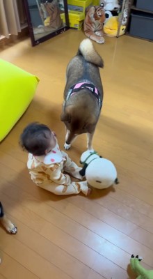 「これで大丈夫そう？」