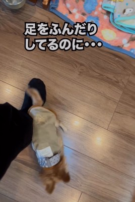 足の上を通過
