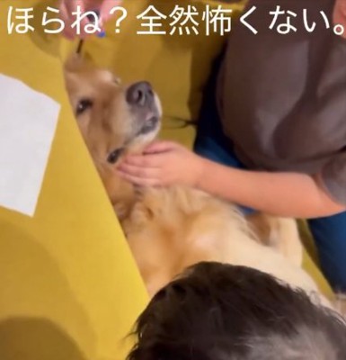 興味津々