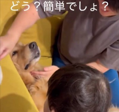 本当に