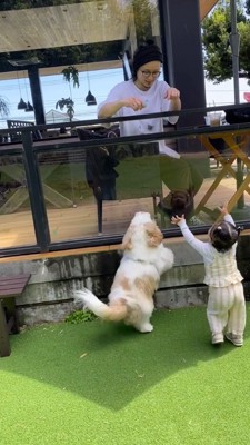 男性の目の前にやってきて手を広げる女の子