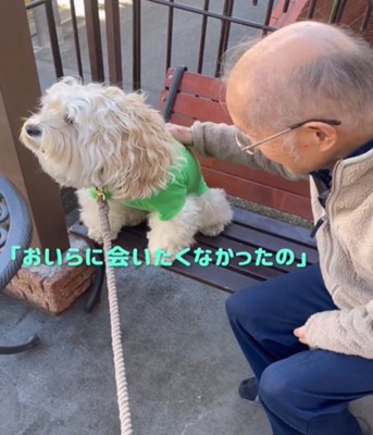 そっぽを向く犬