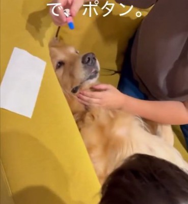 仰向けに