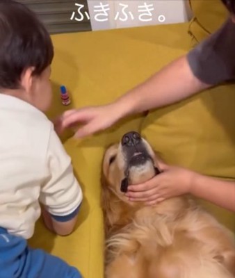 ふきふき