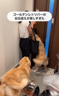 奥に割り込み