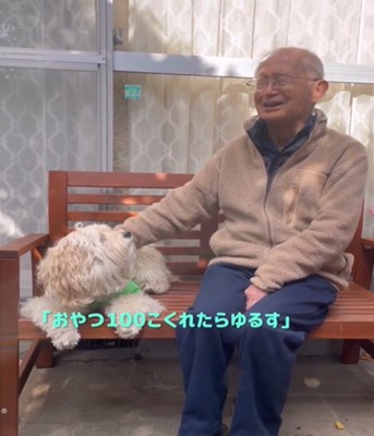 怒る犬と笑うおじいさん