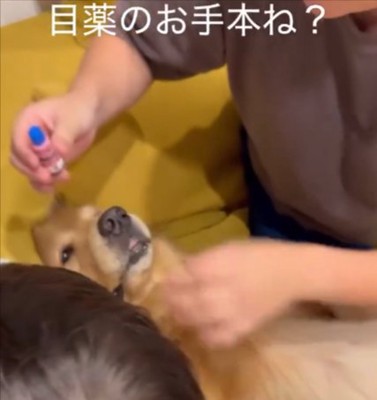 目薬