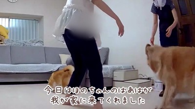 大好きなばあばが家に来た!!