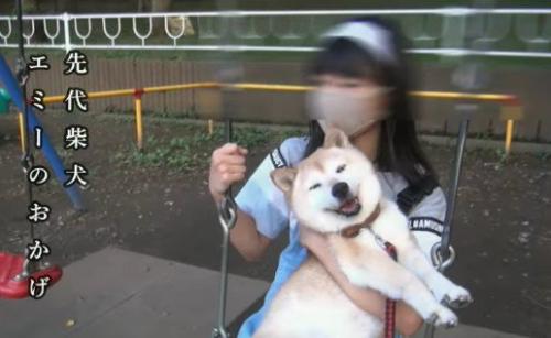 エミーちゃんが教えてくれた愛