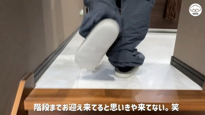 ナナくんとパパさんの再会