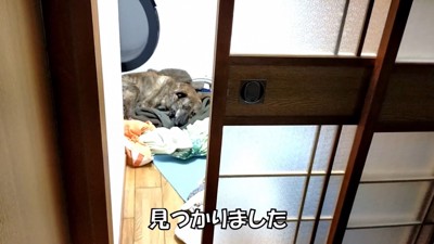 まさかの場所にいたりゅうさん3