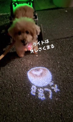 ライトはお名前付き!!