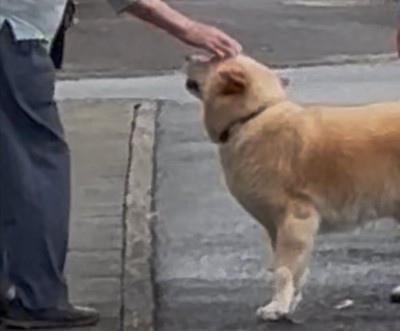 自ら