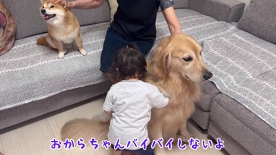 それはおからちゃん!!