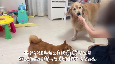 「これ引っ張って~♪」