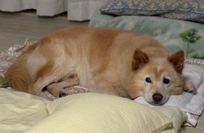 のんびり