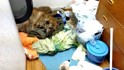 まさかの場所にいたりゅうさん4