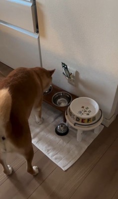 お姉ちゃん帰宅時のけいちゃん6