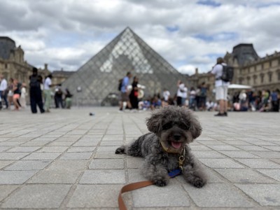 パリ、ルーブル美術館前。パリでもほぼ裸だった。