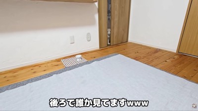 じゅんちゃんが見てる…!