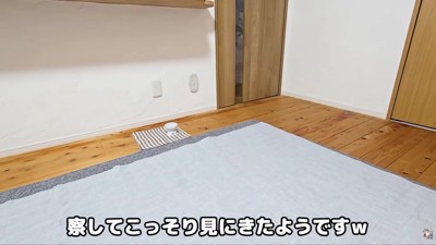 はっちゃんまで登場!!