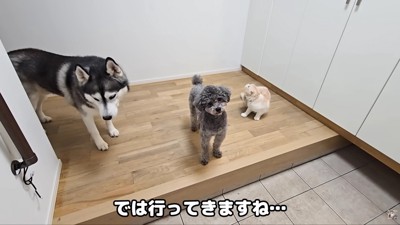 とっても仲良しな3匹