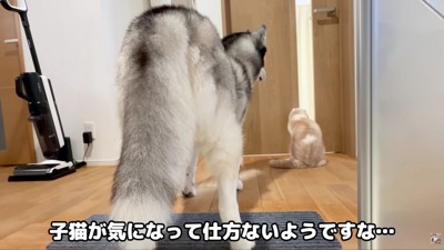 「どんな子かな…?」