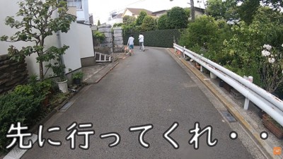 散歩中にお母さんに会った時のワンジローくん⑩