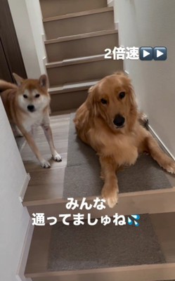 鉄壁にはなりきれてない!?
