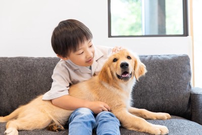 男の子と犬