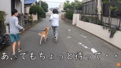 散歩中にお母さんに会った時のワンジローくん9