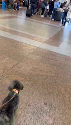 リヨン駅で。裸なのに気付いた瞬間